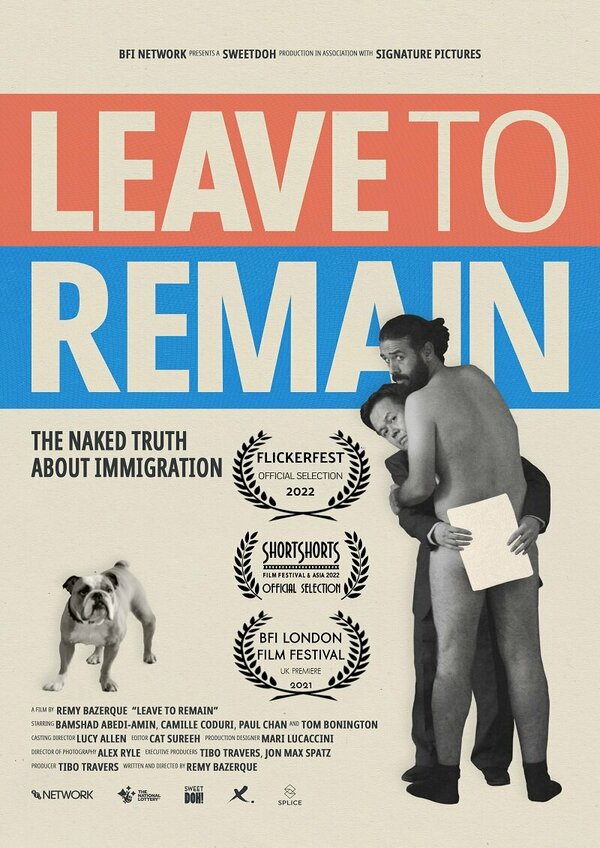 Постер Leave to Remain