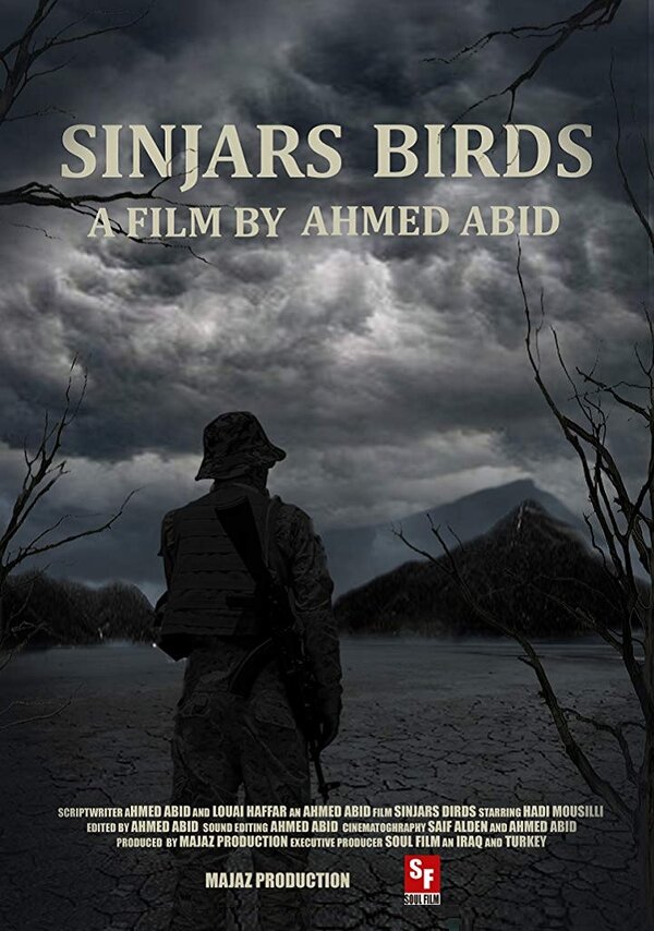 Постер Sinjars Birds