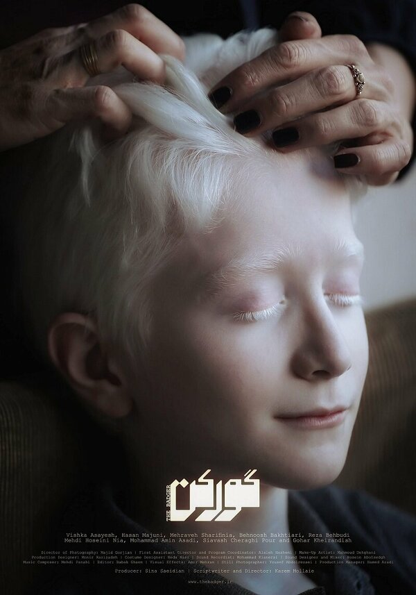 Постер Барсук