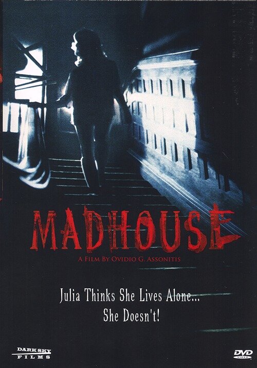 Постер Сумасшедший дом