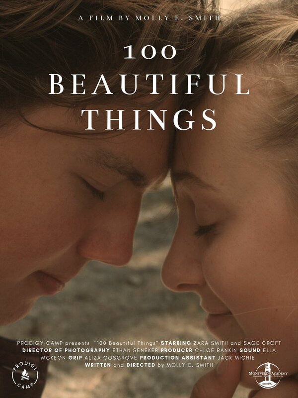 Постер 100 Beautiful Things