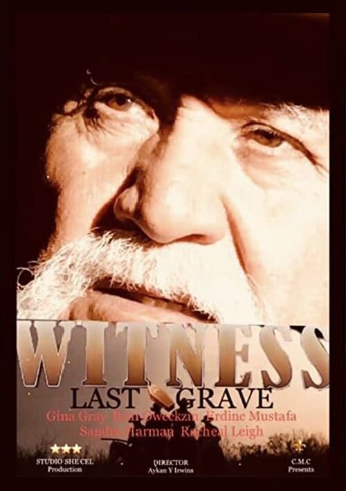 Постер Witness Last Grave
