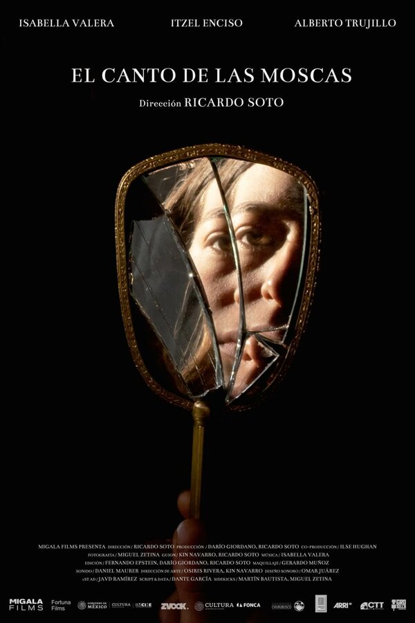 Постер El canto de las moscas