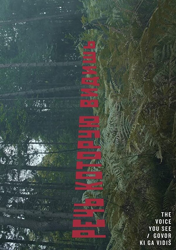 Постер The Voice You See