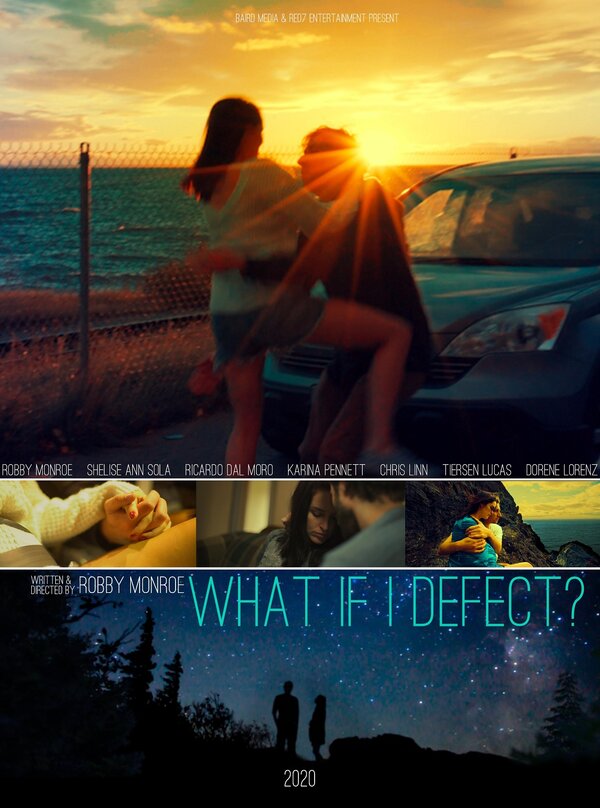 Постер What if I Defect?