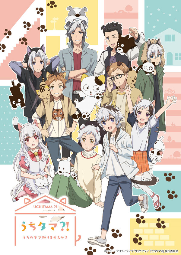 Постер Тама: Откуда же он взялся?