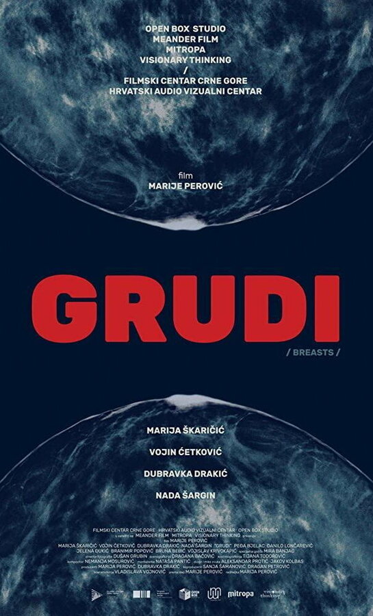 Постер Grudi