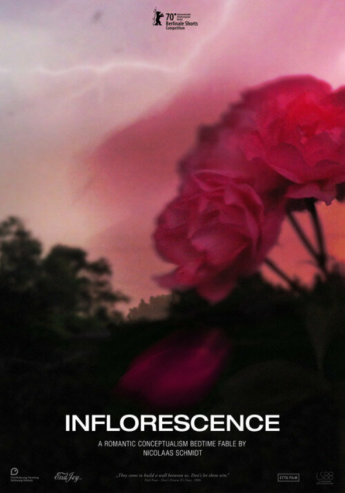 Постер Inflorescence