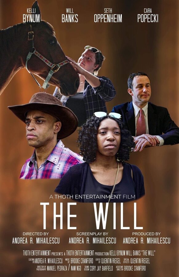 Постер The Will