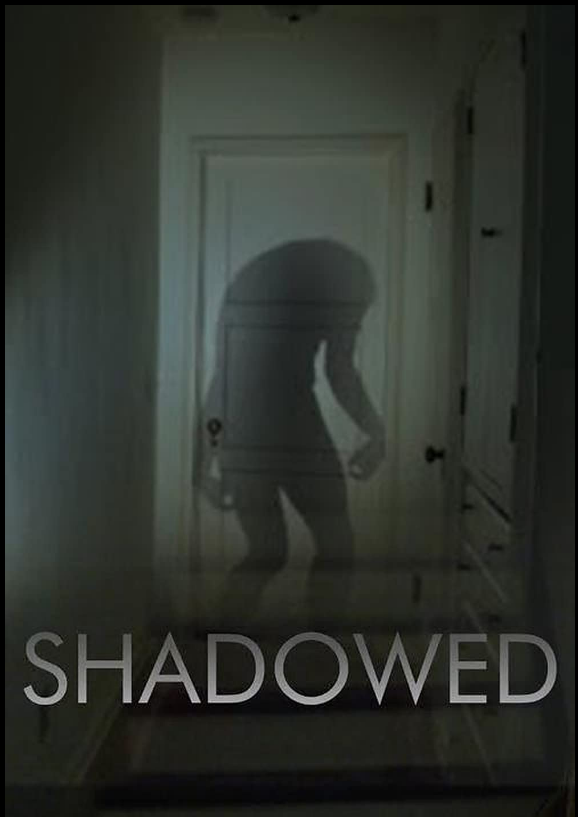 Постер Затененный