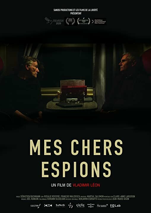 Постер Мои дорогие шпионы