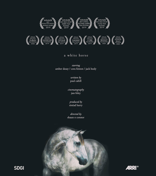 Постер A White Horse