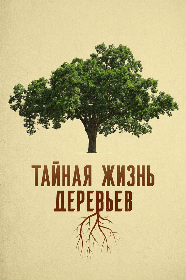 Постер Тайная жизнь деревьев