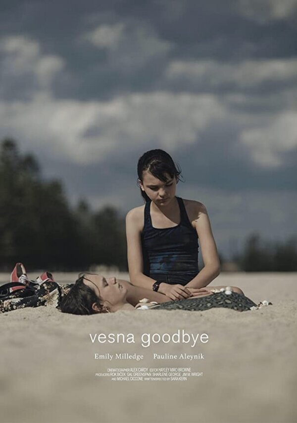 Постер Vesna Goodbye