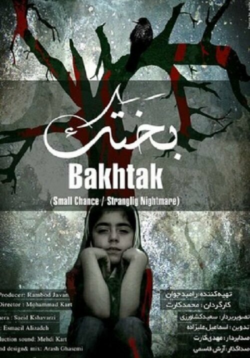 Постер Incubus: The Small Chance