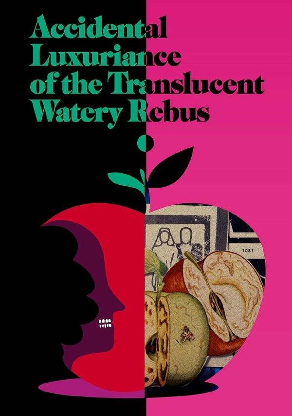 Постер Случайное сияние полупрозрачного водянистого ребуса