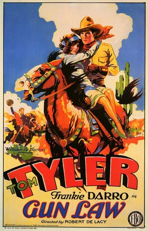 Постер Gun Law