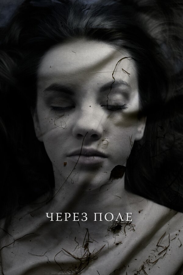 Постер Через поле
