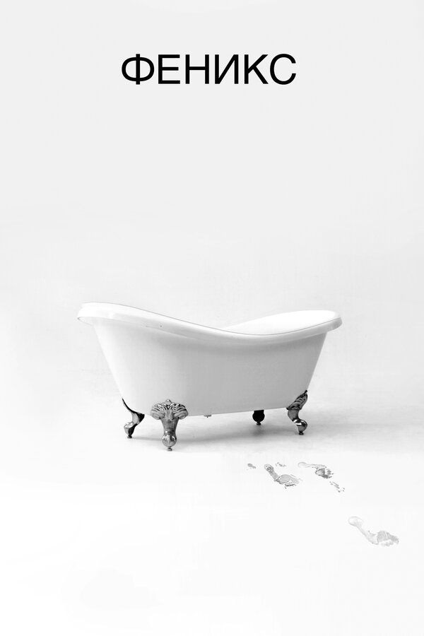 Постер Феникс