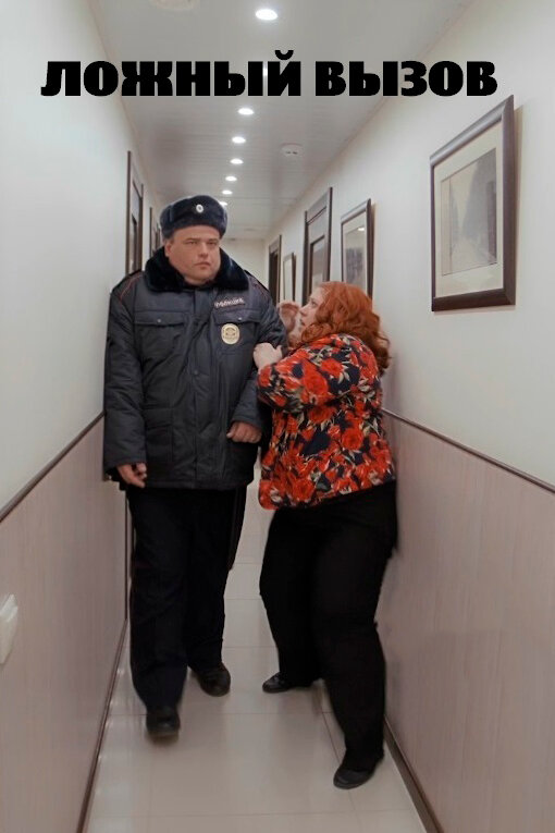 Постер Ложный вызов