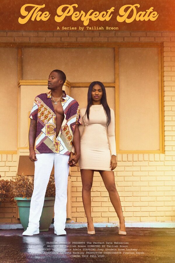 Постер The Perfect Date