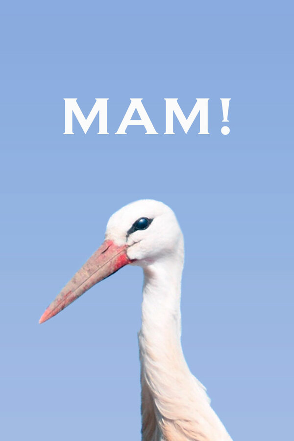 Постер Мам!