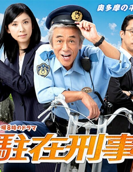 Постер Участковый