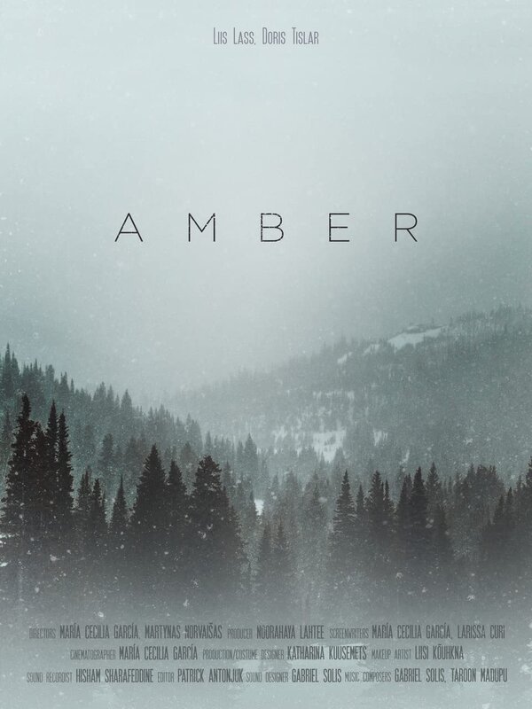 Постер Amber