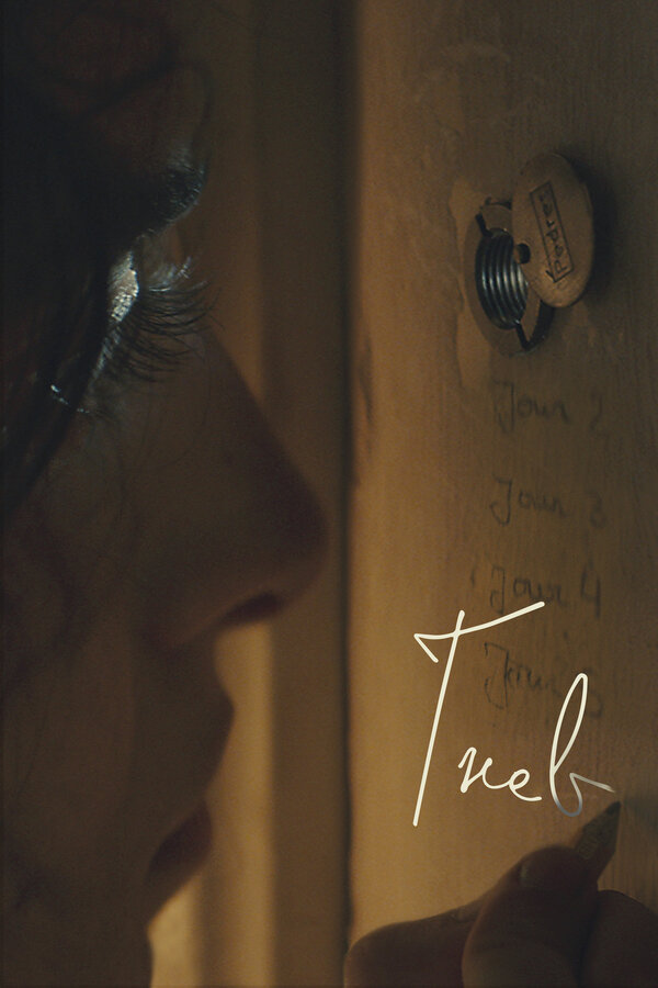 Постер Гнев