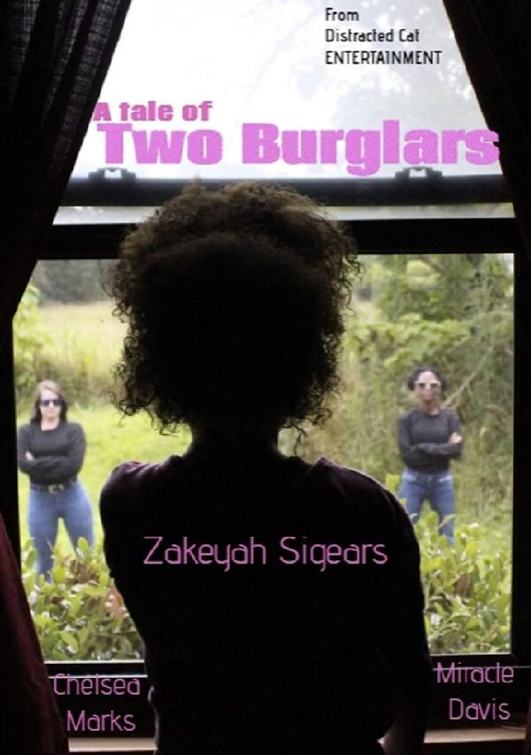 Постер A Tale of Two Burglars