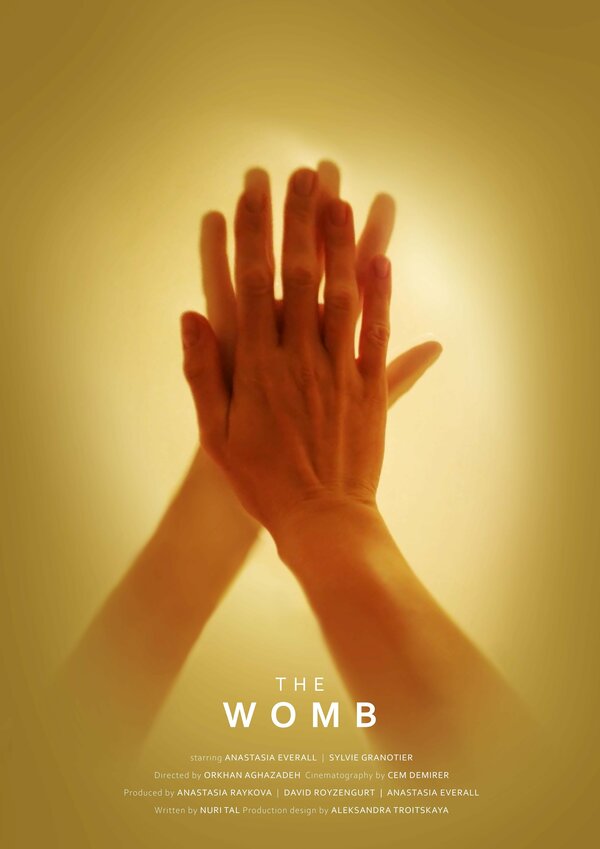 Постер The Womb