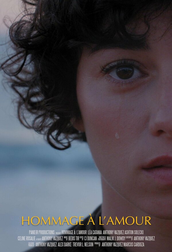 Постер Hommage à l'amour