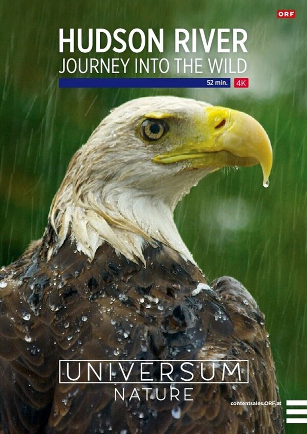 Постер The Hudson River: Journey Into the Wild