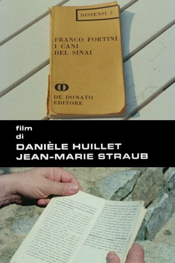 Постер Собаки Фортини