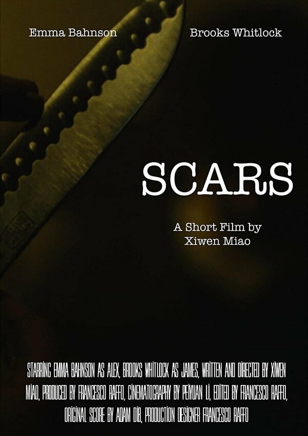 Постер Scars