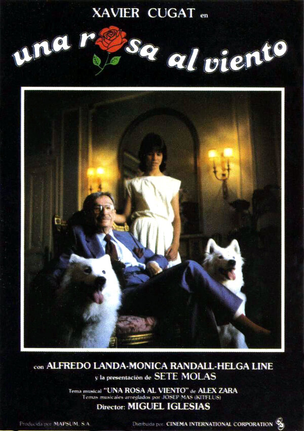 Постер Роза на ветру