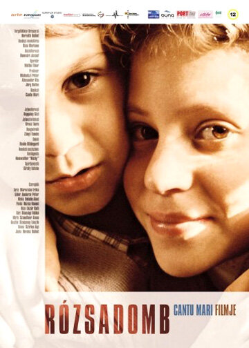 Постер Холм роз