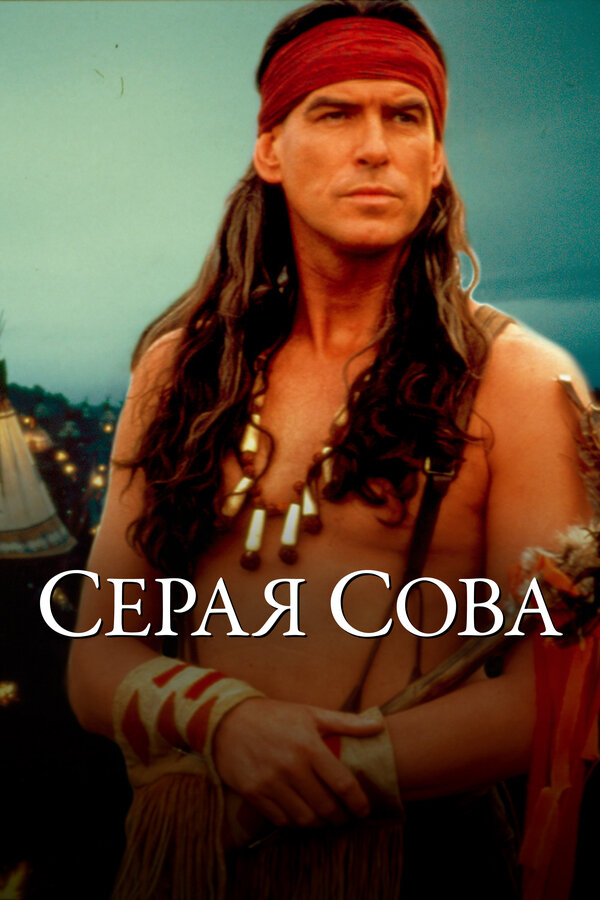 Постер Серая сова