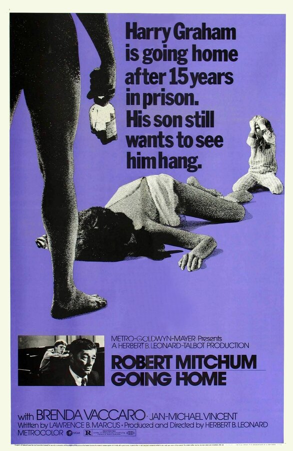 Постер Иди домой