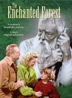 Постер The Enchanted Forest