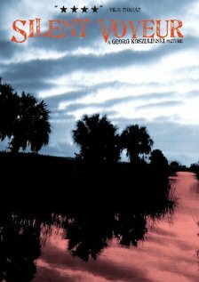 Постер Silent Voyeur