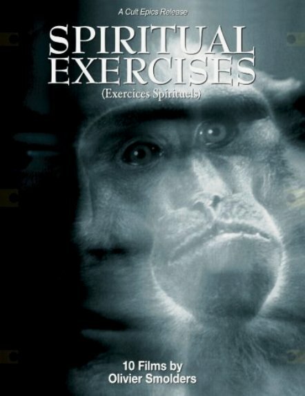 Постер Мысли и видения отрубленной головы