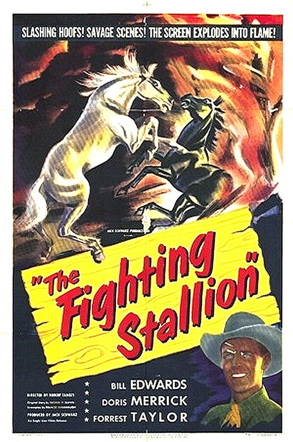 Постер The Fighting Stallion