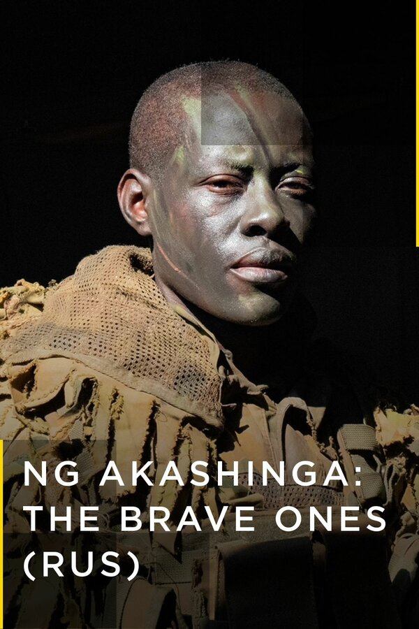 Постер Акашинга: Отважные