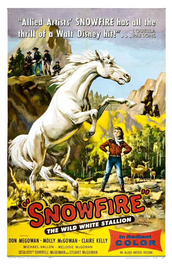 Постер Snowfire