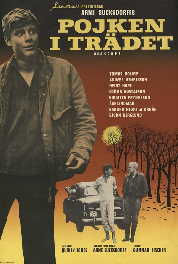 Постер Мальчик на дереве