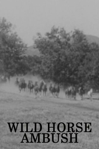 Постер Wild Horse Ambush