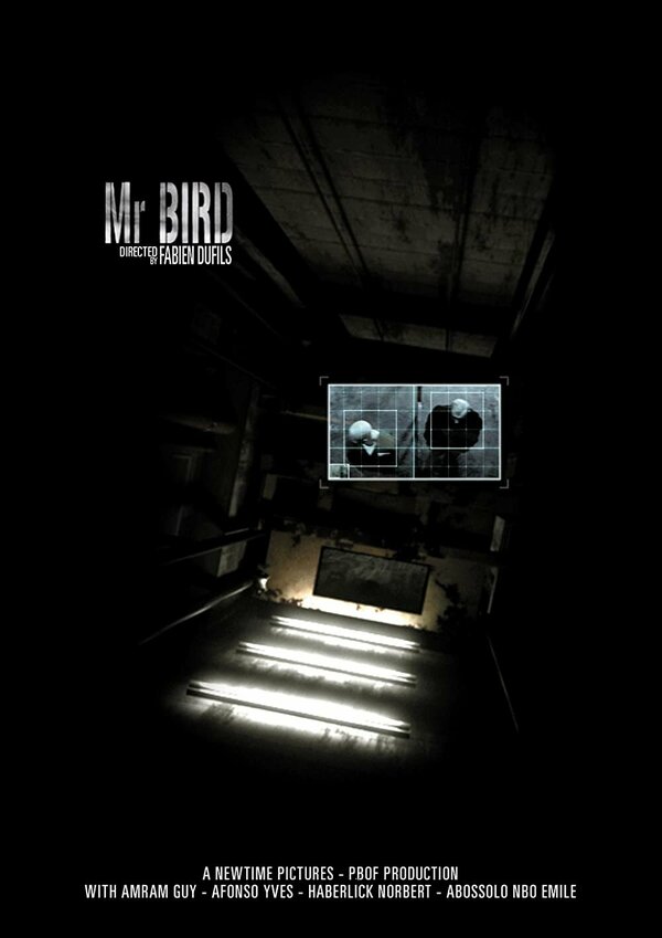 Постер Mister Bird