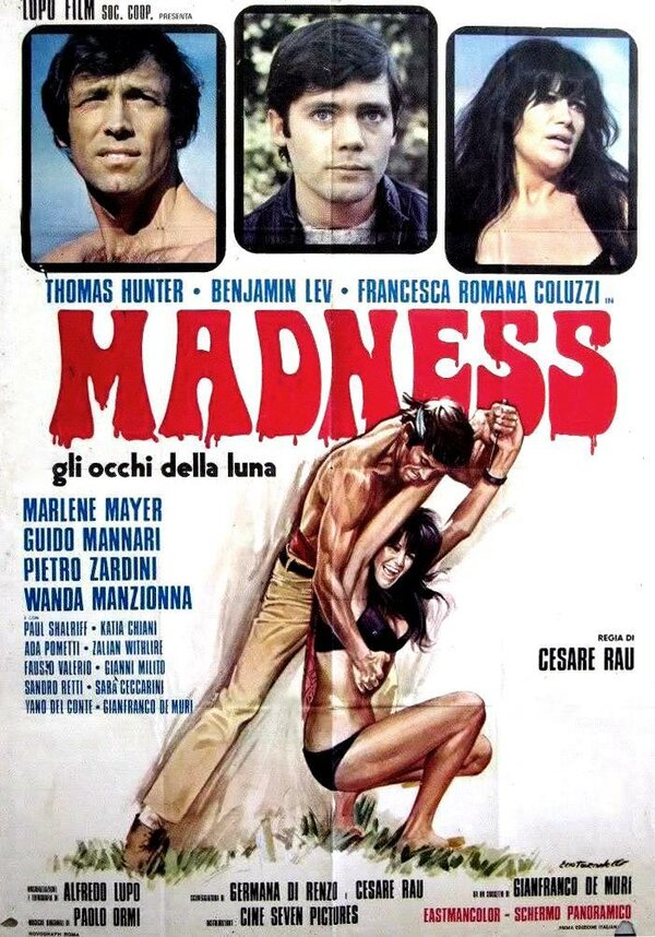 Постер Безумие – глаза Луны