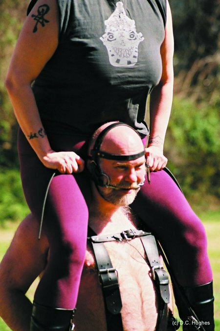 Постер Born in a Barn